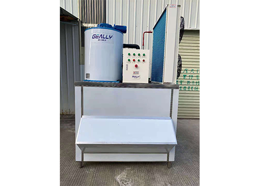 Case of a 2 ton flake ice machine in a food factory in Fujian